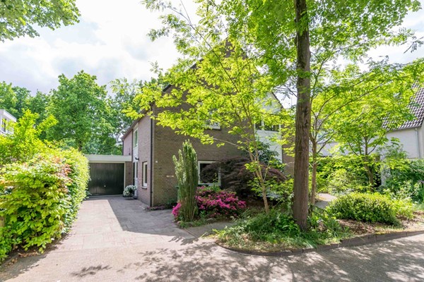 Apollolaan 66, Son en Breugel